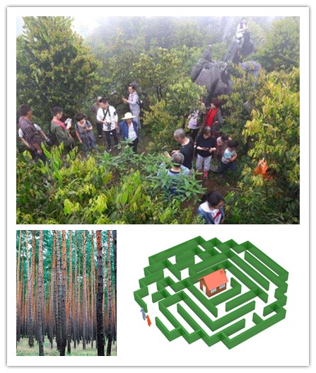 武漢樂農湖畔叢林迷宮