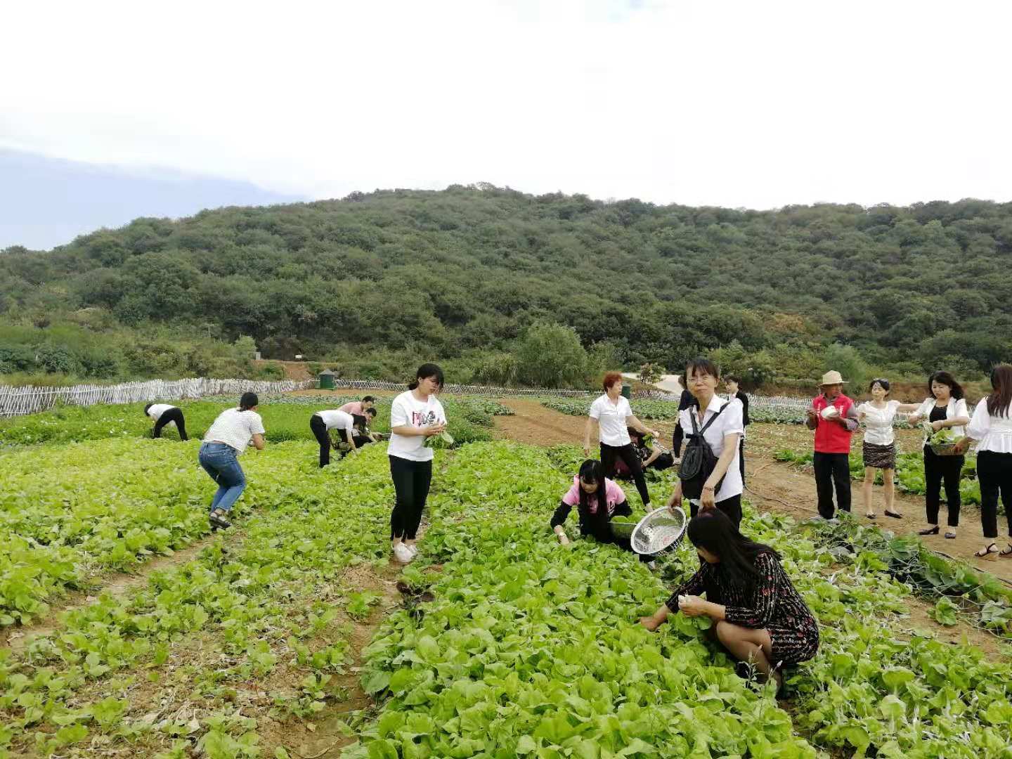 武漢采摘自駕游