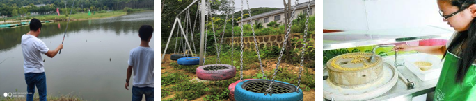 武漢樂(lè)農(nóng)湖畔