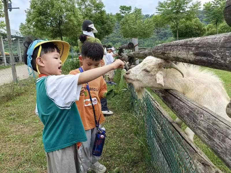 武漢幼兒園秋游